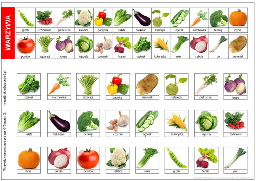zgadnij-kto-to-dodatkowe-plansze-warzywa_c